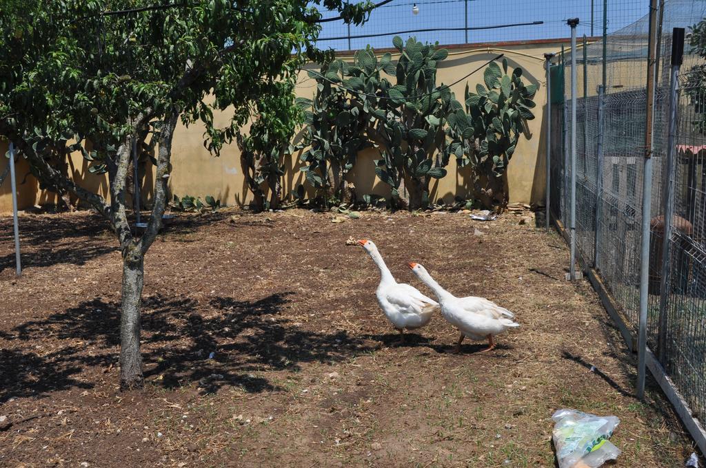 Bed & Breakfast Giardini Di Marzo Lecce Eksteriør bilde